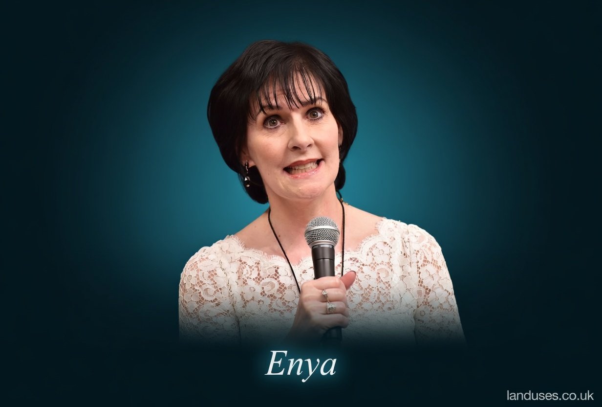 Enya Net Worth